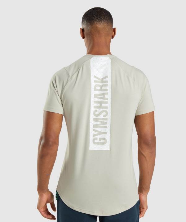 Panske Tricka Gymshark Bold Siva | ZR8174503